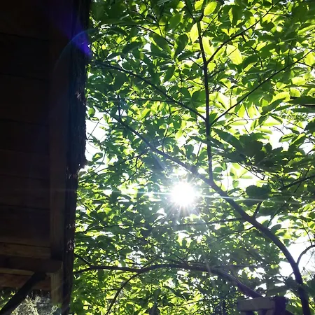 ゲストハウス Cevennes Insolites: La De Peyrolles